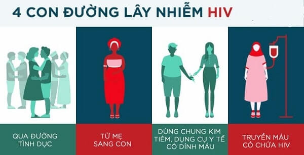 Lý thuyết Sinh 10 Chân trời sáng tạo Bài 31: Virus gây bệnh