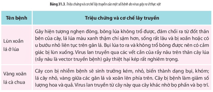Lý thuyết Sinh 10 Chân trời sáng tạo Bài 31: Virus gây bệnh