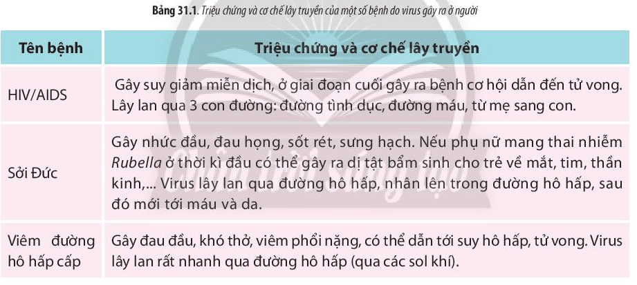 Lý thuyết Sinh 10 Chân trời sáng tạo Bài 31: Virus gây bệnh