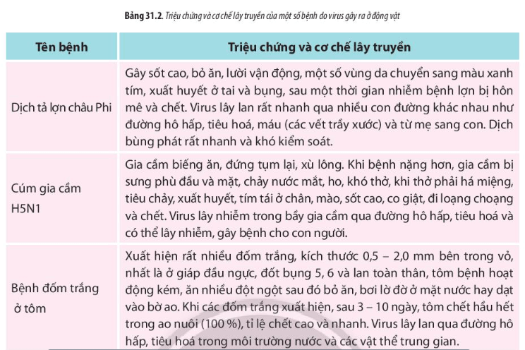 Lý thuyết Sinh 10 Chân trời sáng tạo Bài 31: Virus gây bệnh