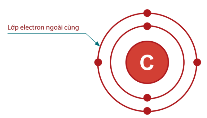 Lý thuyết Sinh 10 Chân trời sáng tạo Bài 5: Các nguyên tố hóa học và nước