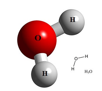 Lý thuyết Sinh 10 Chân trời sáng tạo Bài 5: Các nguyên tố hóa học và nước