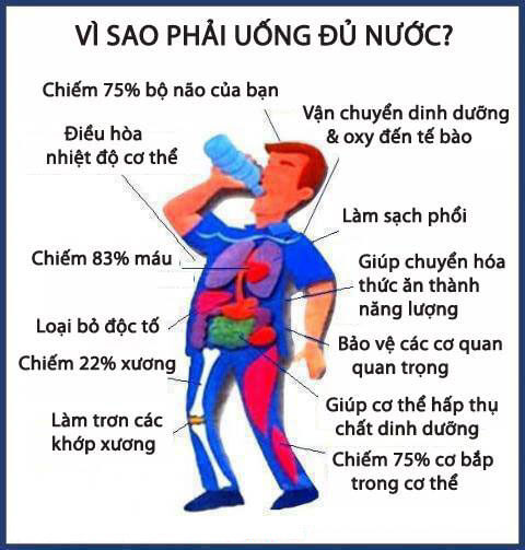 Lý thuyết Sinh 10 Chân trời sáng tạo Bài 5: Các nguyên tố hóa học và nước