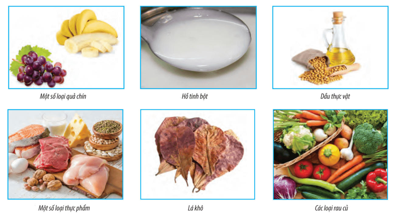 Lý thuyết Sinh 10 Chân trời sáng tạo Bài 7: Thực hành: Xác định một số thành phần hóa học của tế bào