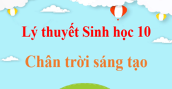 Tóm tắt Lý thuyết Sinh 10 Chân trời sáng tạo (hay, ngắn gọn) | Kiến thức trọng tâm Sinh học 10