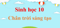 Sinh 10 Chân trời sáng tạo | Giải Sinh 10 | Giải Sinh lớp 10 | Giải bài tập Sinh học 10 hay nhất