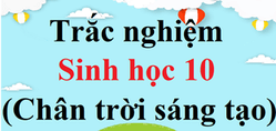 500 Câu hỏi trắc nghiệm Sinh học 10 Chân trời sáng tạo có đáp án