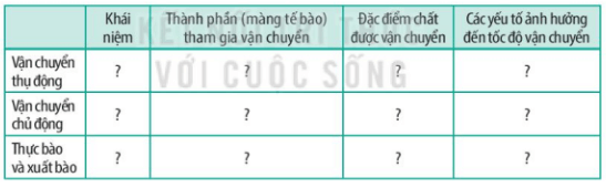 Phân biệt các hình thức vận chuyển thụ động, vận chuyển chủ động (ảnh 1)