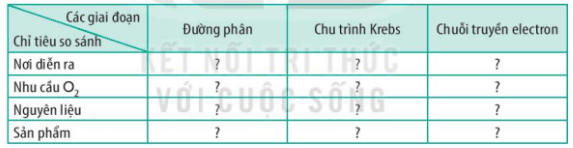 Kẻ và hoàn thành bảng vào vở theo mẫu sau: (ảnh 1)