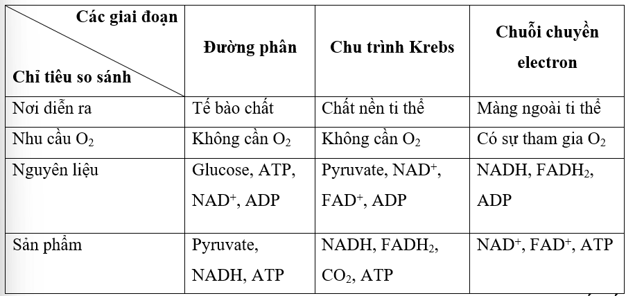 Kẻ và hoàn thành bảng vào vở theo mẫu sau: (ảnh 1)