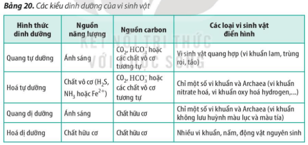 Đọc bảng 20, phân biệt các kiểu dinh dưỡng ở vi sinh vật (ảnh 1)