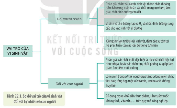 Giải Sinh 10 Bài 22: Vai trò và ứng dụng của vi sinh vật (ảnh 1)