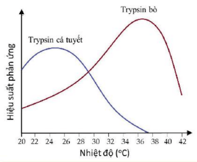 Lý thuyết Sinh 10 Kết nối tri thức Bài 13: Khái quát về chuyển hóa vật chất và năng lượng