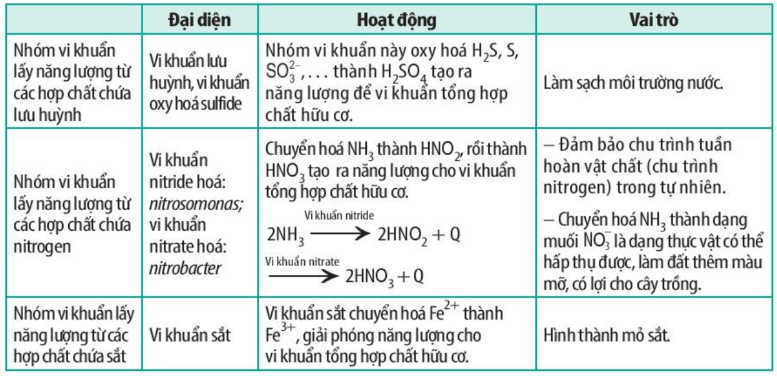 Lý thuyết Sinh 10 Kết nối tri thức Bài 14: Phân giải và tổng hợp các chất trong tế bào