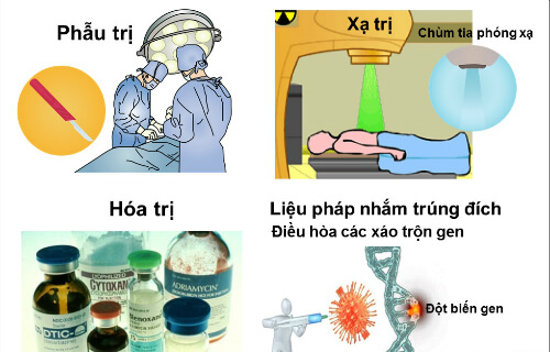 Lý thuyết Sinh 10 Kết nối tri thức Bài 16: Chu kì tế bào và nguyên phân