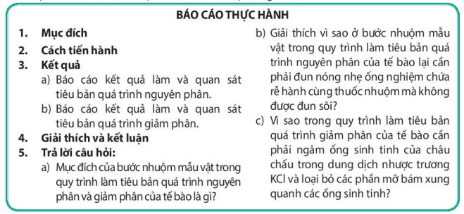 Lý thuyết Sinh 10 Kết nối tri thức Bài 18: Thực hành làm và quan sát tiêu bản quá trình nguyên phân và giảm phân