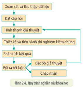 Lý thuyết Sinh 10 Kết nối tri thức Bài 2: Phương pháp nghiên cứu và học tập môn sinh học