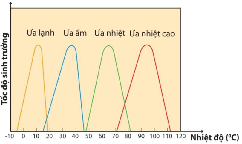 Lý thuyết Sinh 10 Kết nối tri thức Bài 21: Trao đổi chất, sinh trưởng và sinh sản ở vi sinh vật