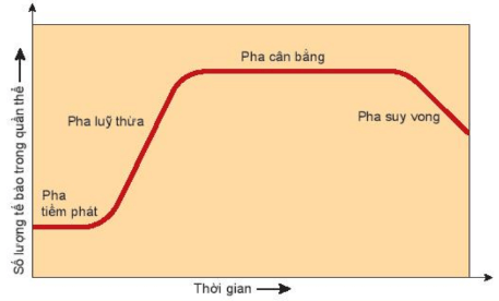 Lý thuyết Sinh 10 Kết nối tri thức Bài 21: Trao đổi chất, sinh trưởng và sinh sản ở vi sinh vật