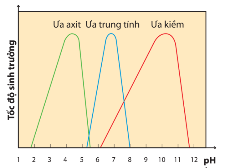 Lý thuyết Sinh 10 Kết nối tri thức Bài 21: Trao đổi chất, sinh trưởng và sinh sản ở vi sinh vật