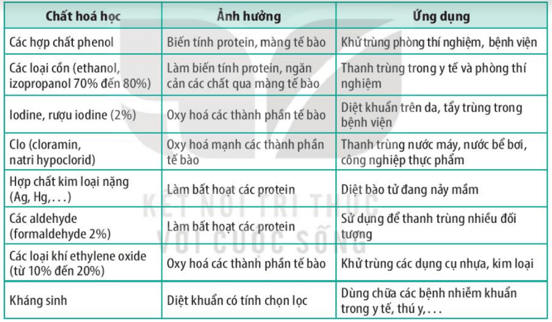 Lý thuyết Sinh 10 Kết nối tri thức Bài 21: Trao đổi chất, sinh trưởng và sinh sản ở vi sinh vật