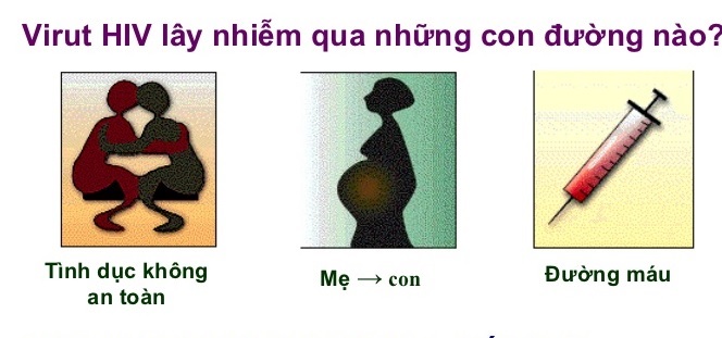 Lý thuyết Sinh 10 Kết nối tri thức Bài 25: Một số bệnh do virus và các thành tựu nghiên cứu ứng dụng virus