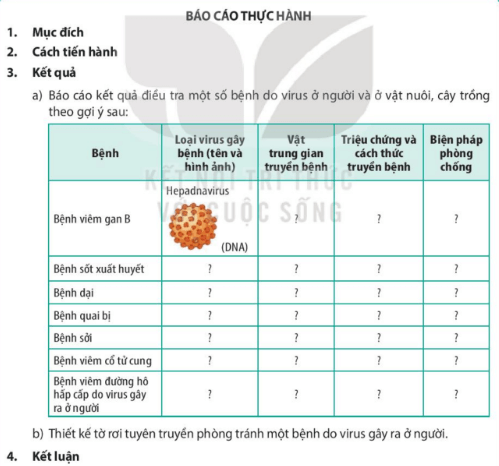 Lý thuyết Sinh 10 Kết nối tri thức Bài 26: Thực hành điều tra một số bệnh do virus và tuyên truyền phòng chống bệnh