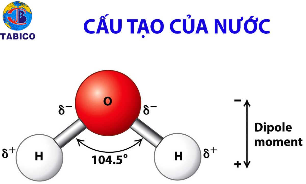 Lý thuyết Sinh 10 Kết nối tri thức Bài 4: Các nguyên tố hóa học và nước