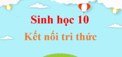 Sinh 10 Kết nối tri thức | Giải Sinh 10 | Giải Sinh lớp 10 | Giải bài tập Sinh học 10 hay nhất | Sinh 10 KNTT | Sinh học 10 KNTT