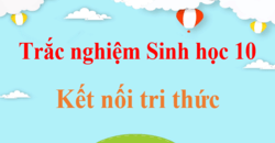 500 Câu hỏi trắc nghiệm Sinh 10 Kết nối tri thức (có đáp án) | Trắc nghiệm Sinh học 10