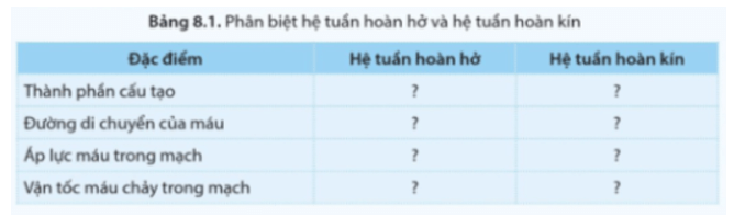 Quan sát hình 8.1, phân biệt hệ tuần hoàn hở và hệ tuần hoàn kín