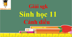 Sinh học 11 Cánh diều | Giải bài tập Sinh 11 (hay, ngắn gọn) | Soạn Sinh 11 Cánh diều