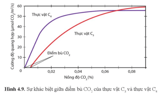 Quan sát hình 4.9, so sánh nhu cầu CO2 giữa thực vật C3 và C4