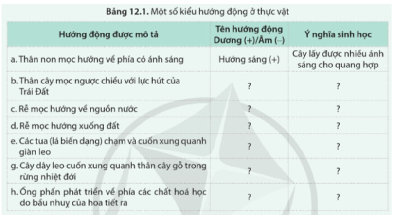 Vận động hướng động của thực vật có đặc điểm gì?