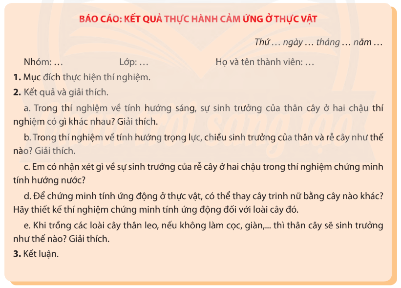 Viết và trình bày báo cáo theo mẫu trang 101 Sinh học 11