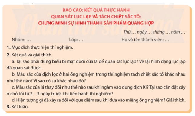 Viết và trình bày báo cáo theo mẫu trang 40 Sinh học 11