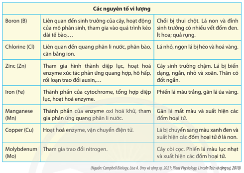 Xem Bảng 2.1, Hình 2.2 và liệt kê những biểu hiện của cây khi thiếu các nguyên tố khoáng