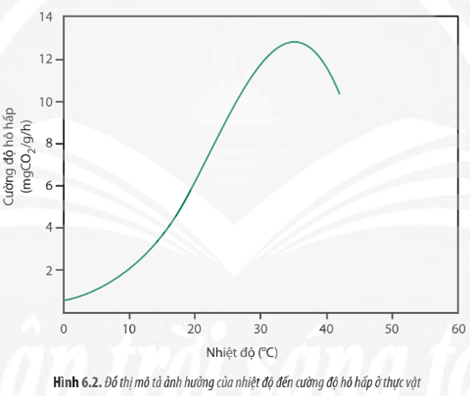 Quan sát Hình 6.2, hãy cho biết nhiệt độ ảnh hưởng như thế nào đến hô hấp ở thực vật