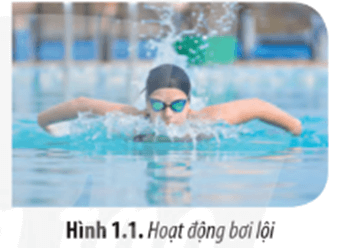 Khi hoạt động mạnh (chơi thể thao, chạy nhảy,…), cơ thể chúng ta thường thấy nóng