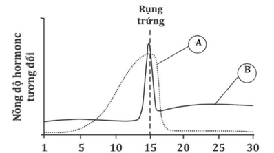 Trắc nghiệm Sinh học 11 Chân trời sáng tạo Bài 26 (có đáp án): Sinh sản ở động vật