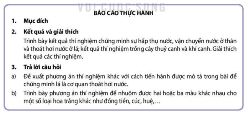 Học sinh viết báo cáo thực hành trang 25 Sinh học 11