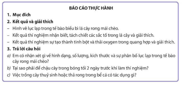 Học sinh viết báo cáo thực hành trang 37 Sinh học 11