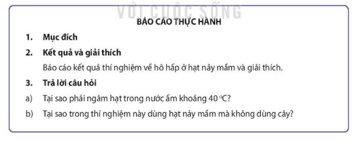 Học sinh viết báo cáo thực hành trang 45 Sinh học 11