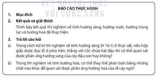 Học sinh viết báo cáo thực hành theo các nội dung sau trang 99 Sinh học 11