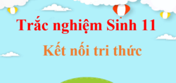 500 câu trắc nghiệm Sinh học 11 Kết nối tri thức (có đáp án) | Trắc nghiệm Sinh 11