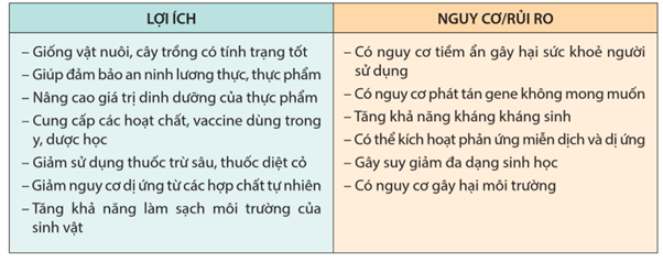 Lý thuyết Hệ gene, công nghệ gene và ứng dụng (Sinh 12 Cánh diều Bài 11)