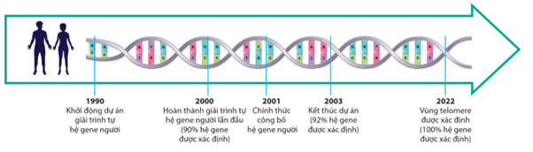 Lý thuyết Hệ gene, công nghệ gene và ứng dụng (Sinh 12 Cánh diều Bài 11)