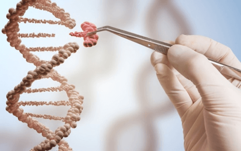 Lý thuyết Di truyền học người (Sinh 12 Cánh diều Bài 14)