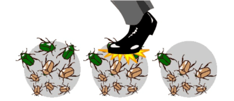 Lý thuyết Thuyết tiến hóa tổng hợp hiện đại (Phần 1) (Sinh 12 Cánh diều Bài 17)