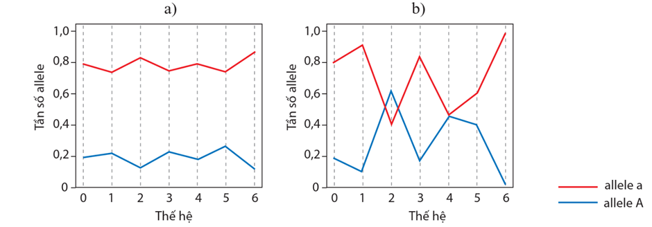 Lý thuyết Thuyết tiến hóa tổng hợp hiện đại (Phần 1) (Sinh 12 Cánh diều Bài 17)